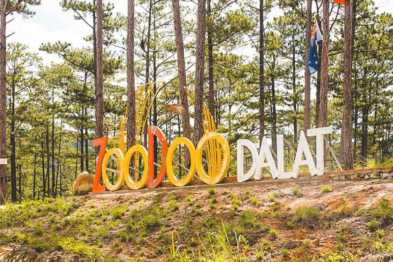 Review of visiting the super adorable ZooDoo Zoo in Da Lat